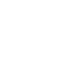 Button icon